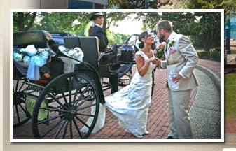 Lovely bride and horse carriage at wedding