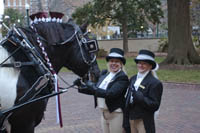 Arrivals In Elegance Wedding Carriage Horse and Buggy Rides