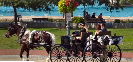 Wedding couple in horse and buggy at Yorktown waterfront